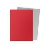 Buy 100 Dragon Shield Dual Matte - Crimson & Silver | Agorajeux Game Store