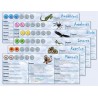 Buy Dominant Species - Agorajeux online game store