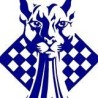 Blue Panther LLC
