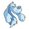 Blue Cocker