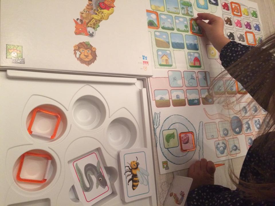Concept Kids Animaux
